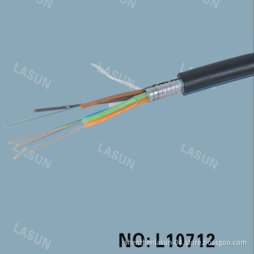 Outdoor Fiber Optic Cable (L10712) /Patch Cable